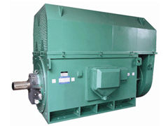 Y6303-10/1250KWY系列6KV高压电机