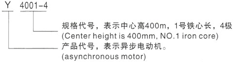 西安泰富西玛Y系列(H355-1000)高压Y6303-10/1250KW三相异步电机型号说明